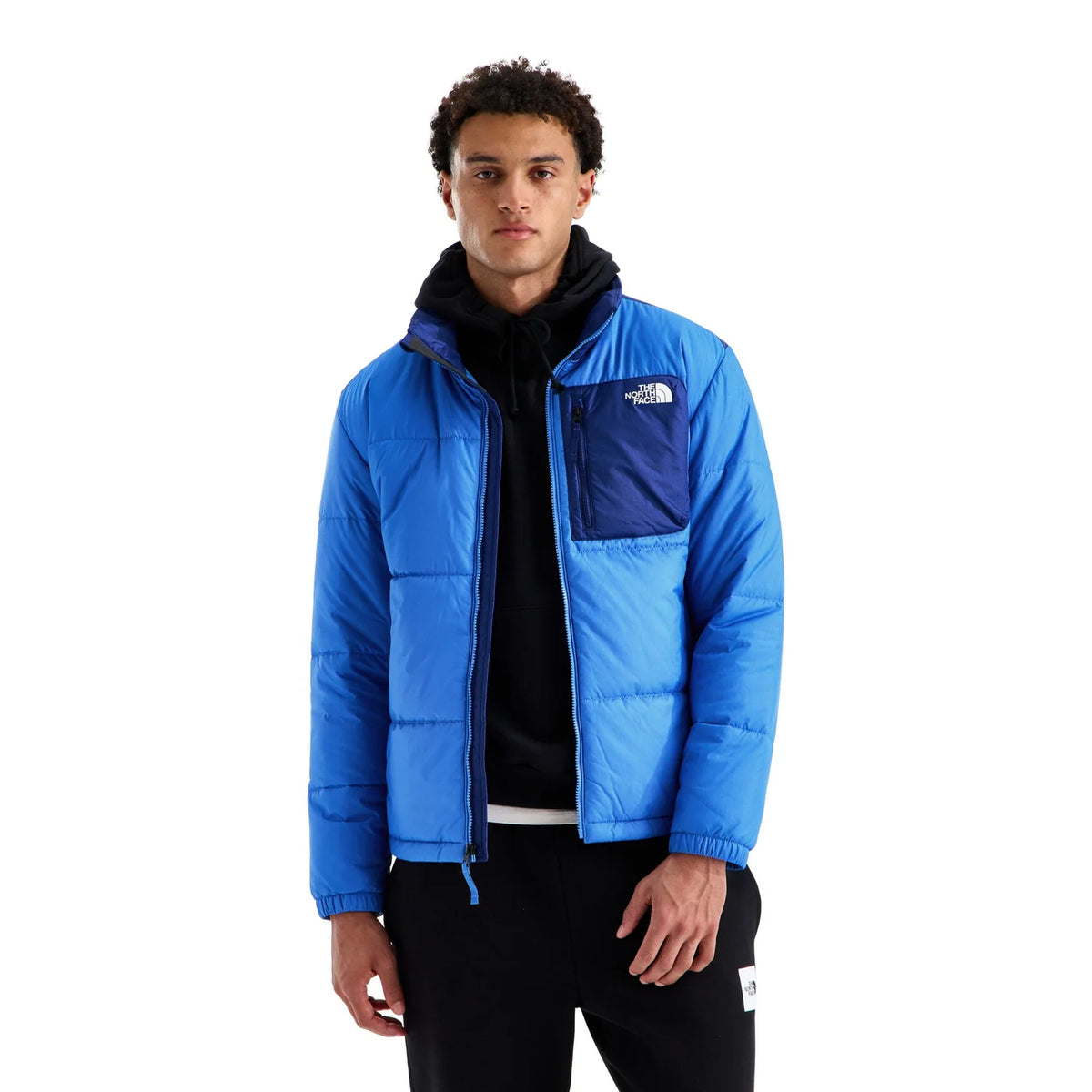 The North Face Blue and Navy Stand-Collar Quilted Puffer Jacket